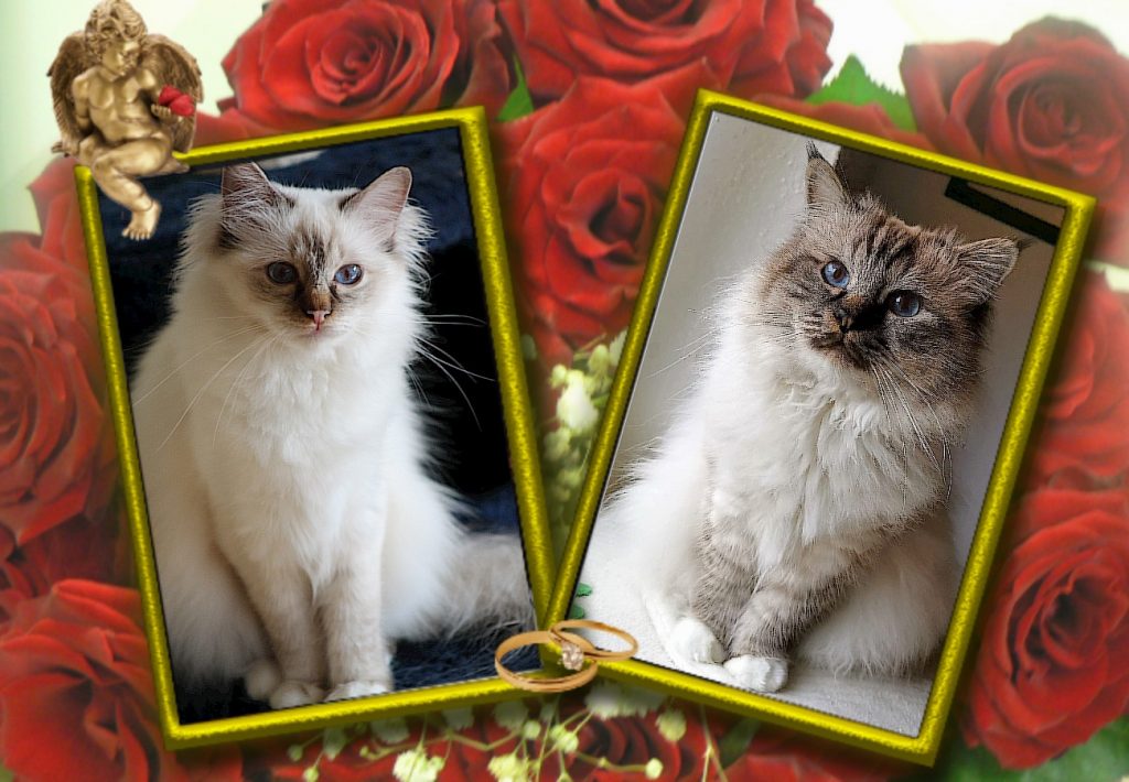 Fiona & Francis