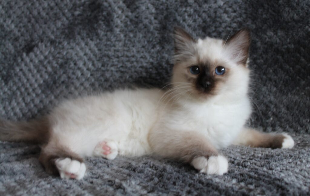 Luna